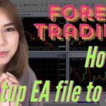 Forex Trading – How to setup EA to MT4  (Ver. English)
