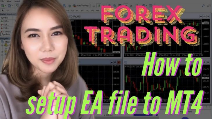 Forex Trading – How to setup EA to MT4  (Ver. English)