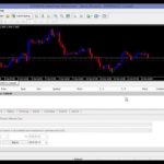 How to Back Test Forex EA Robot