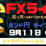 【FXライブ】FX初心者さんでも「チャネルライン」で稼ぐ力が身につく！　FXプロトレーダーのポンド円