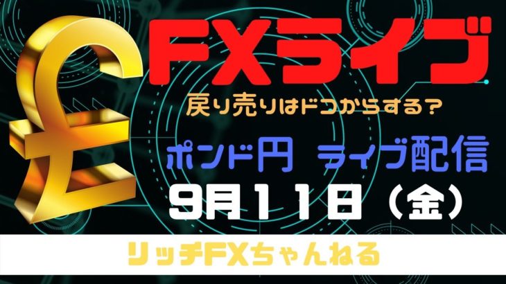 【FXライブ】FX初心者さんでも「チャネルライン」で稼ぐ力が身につく！　FXプロトレーダーのポンド円