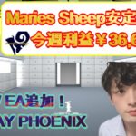 【FX自動売買】Maries Sheep安定の利益　今週￥36,667　NEW EA追加！MONDAY PHOENIX