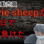 【FX自動売買】marie sheepがSL　1日で3万円負けた