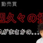 【FX自動売買】今週久々の損失　あのEAがまさかの｡｡｡