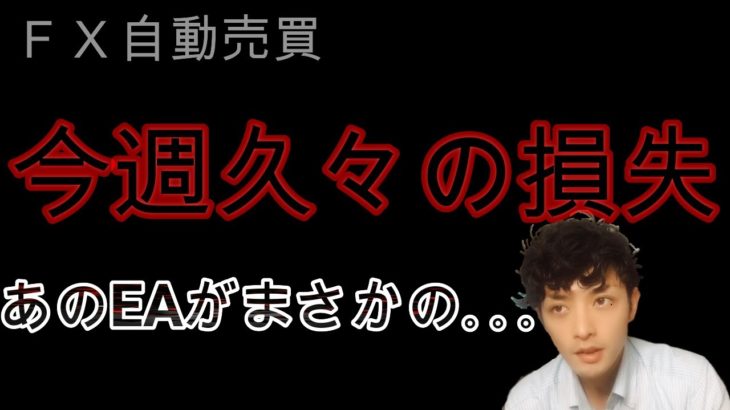 【FX自動売買】今週久々の損失　あのEAがまさかの｡｡｡