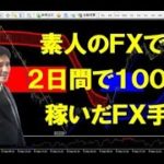 スコーピオンFXサインツールを駆使して二日間取引で100万円稼いだ動画（FX、BO）