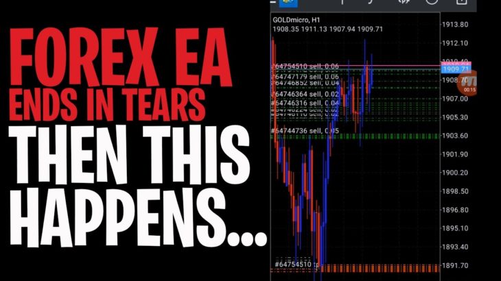 Forex robot live trading | making money with forex EA or automated trading software – live trading
