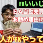 FX自動売買ソフトEA！良い所、悪い所（ど素人ですが。。。）