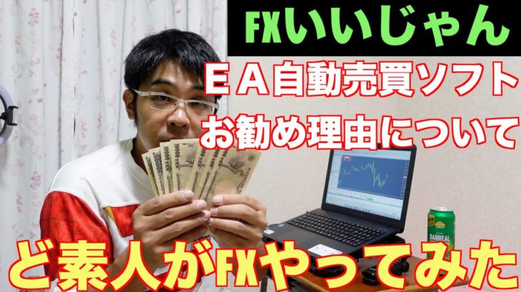 FX自動売買ソフトEA！良い所、悪い所（ど素人ですが。。。）