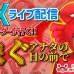 2020/11/17（火）《落ち着いた動き、ここからどうなるか！？》FXライブ実況生配信専門カニトレーダーが行く! 生放送744回目🎤☆★第3期収支+113,210円★☆