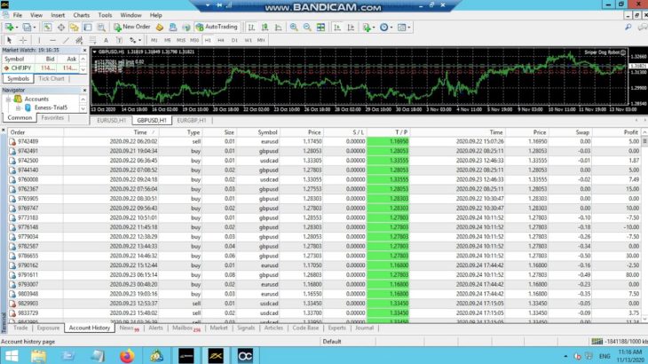 SNIPER DOG Forex Robot-8 Weeks Result-Consistent Stable & Profitable Forex Trading Robot EA Software