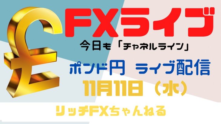 【FXライブ】FX初心者さん歓迎！「チャネルライン」でトレードしてみよう！ FX専業トレーダーのポンド円 11/11/2020