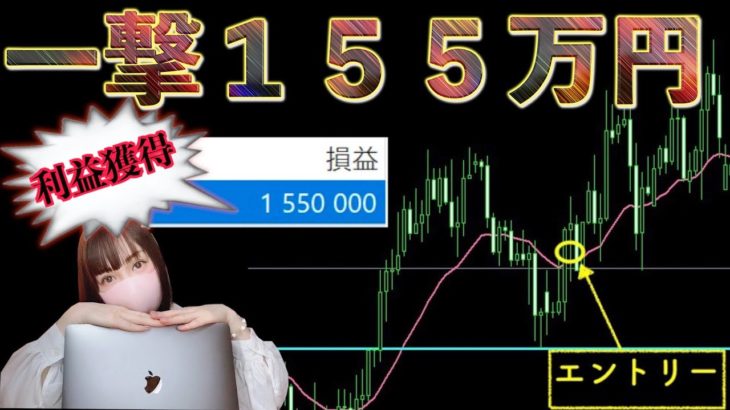 【FX】155万円獲得した秘密を教えます！（トレード方法伝授）