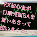 FX初心者がFX自動売買のEAを買いあさって比較してみた