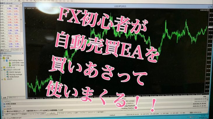 FX初心者がFX自動売買のEAを買いあさって比較してみた