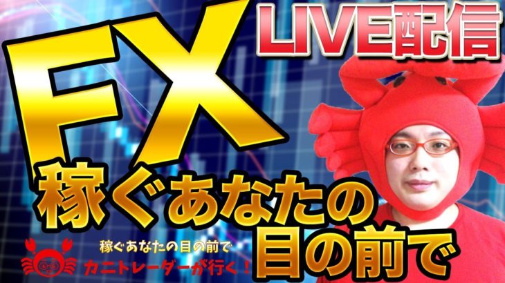 2020/12/29（火）《今年も残りわずか！》FXライブ実況生配信専門カニトレーダーが行く! 生放送775回目🎤☆★第3期収支-1,062,439円★☆