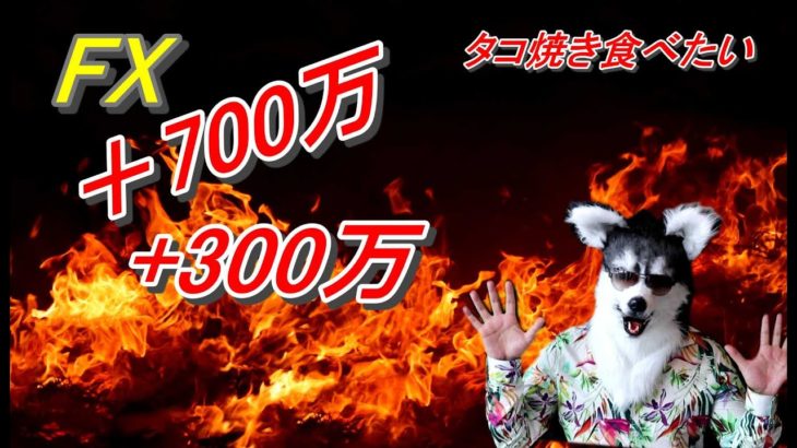 ツールWAN＋300万　裁量＋700万　秘密の八重歯