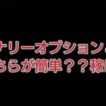 FXとバイナリーはどちらが簡単？？稼げる？？