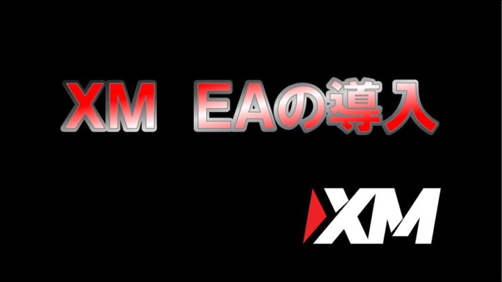 XM でFX自動売買を稼働させる方法