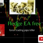 hedge ea | forex trading  mt4 free  ea