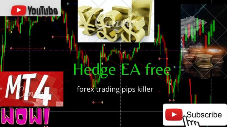 hedge ea | forex trading  mt4 free  ea