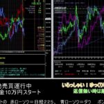 【FX】🍵MT4システムトレード自動売買🍵【EA】2021/0125