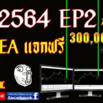 รวมกำไร EA Forex แจกฟรี 01/2021 EP2 เก็บสั้น TP ไว กำไรเร็ว #ระบบเทรด_Forex#EA_Forex#Robot_Forex