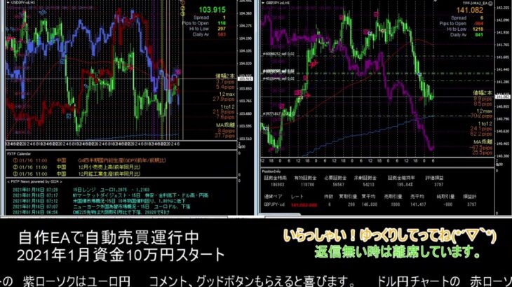 【FX】🍵MT4システムトレード自動売買🍵【EA】2021/0115