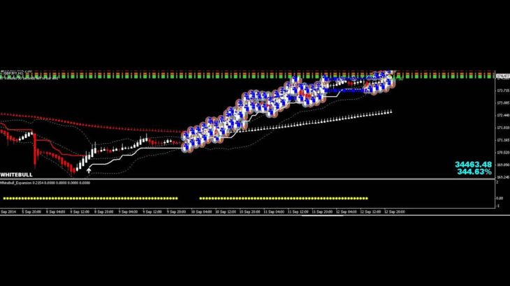 FX EA ＷHITEBULL