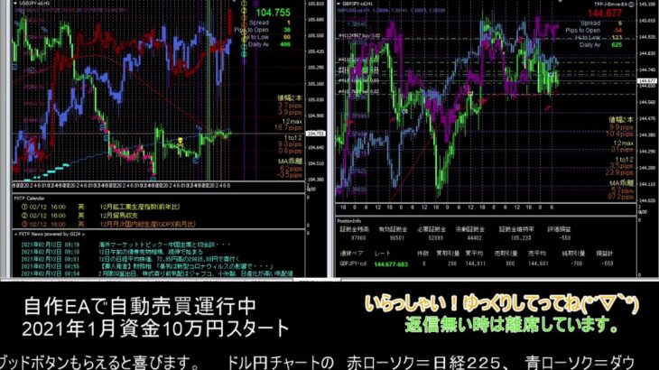 【FX】🍵MT4システムトレード自動売買🍵【EA】2021/0212