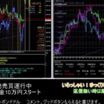 【FX】🍵MT4システムトレード自動売買🍵【EA】2021/0219