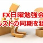 FX日曜勉強会 ドルストの同期を狙え‼