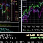 【FX】🍵MT4システムトレード自動売買🍵【EA】2021/0407