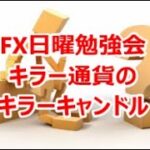 FX日曜勉強会  キラー通貨のキラーキャンドル