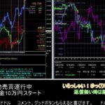 【FX】🍵MT4システムトレード自動売買🍵【EA】2021/0409