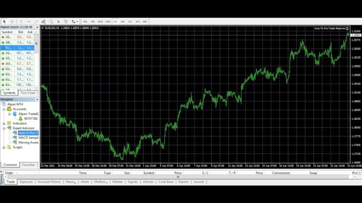 Forex Copy Trading-FREE TRIAL-Automated Forex Trading-Consistent, Safer Forex Profitable Returns