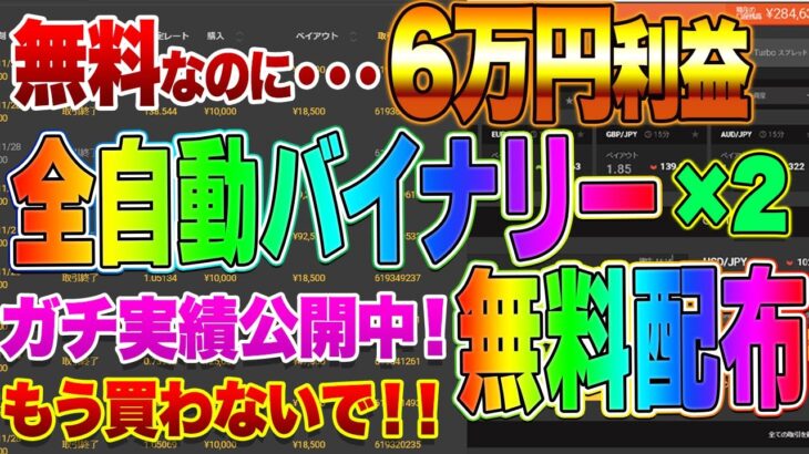 【バイナリー】全自動バイナリー無料配布のアンケート結果がでました！皆様のご要望に応えて配布決定！！条件が選べます！！