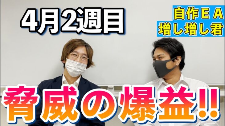 自作EA（自動売買）増し増し君の4月2週の結果ですが、さすが増し増し君としか言いようがないですね！この調子で頑張って欲しいです！