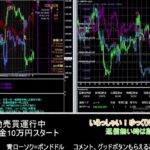 【FX】🍵MT4システムトレード自動売買🍵【EA】2021/0607