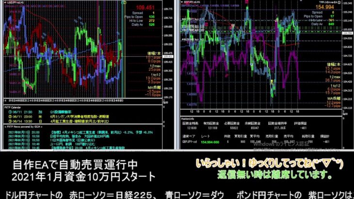 【FX】🍵MT4システムトレード自動売買🍵【EA】2021/0611