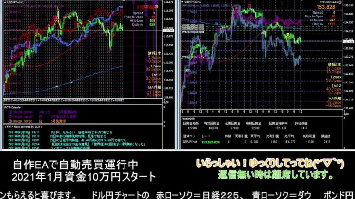 【FX】🍵MT4システムトレード自動売買🍵【EA】2021/0628