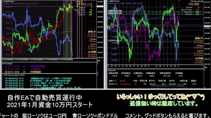 【FX】🍵MT4システムトレード自動売買🍵【EA】2021/0615