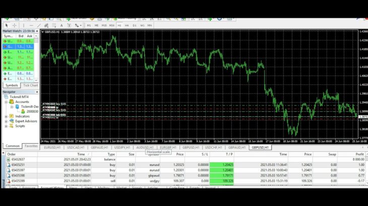 DPNTFX Forex Automation Copy Trading 8 Weeks Result-Free Trial- Let’s Make real money Live @5th July