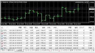 【FX自動売買EA:GOLD】ライブ配信2021.06.22-2