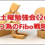 FX土曜勉強会《266》勝つ為のFibo戦略！