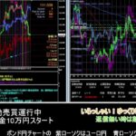 【FX】🍵MT4システムトレード自動売買🍵【EA】2021/0702