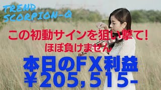 【FX】エントリーポイントの簡単見極め手法