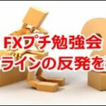 FXプチ勉強会　強いラインの反発を狙え