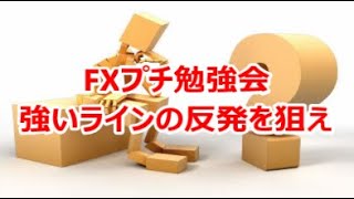 FXプチ勉強会　強いラインの反発を狙え