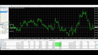 Automated Forex Copy Trading-DPNTFX-EV8 & HG6-12 Weeks Trading Results-Simple Profitable Consistent